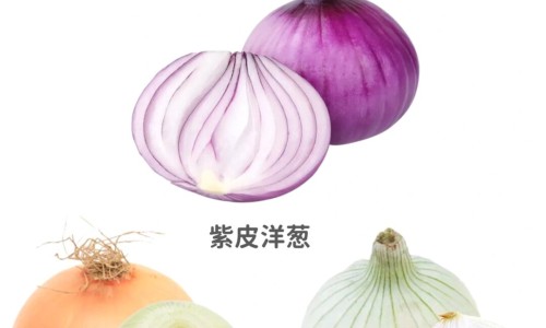 白术丸多久才有效果、白术丸的服用方法 -白术丸吃法网